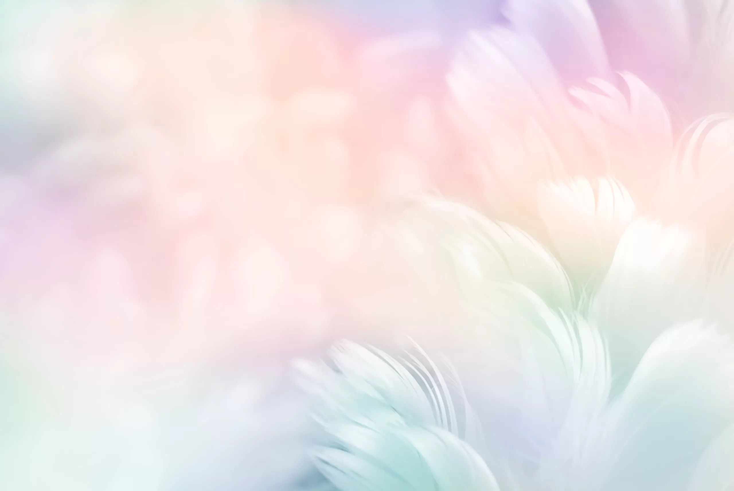 Background (2)